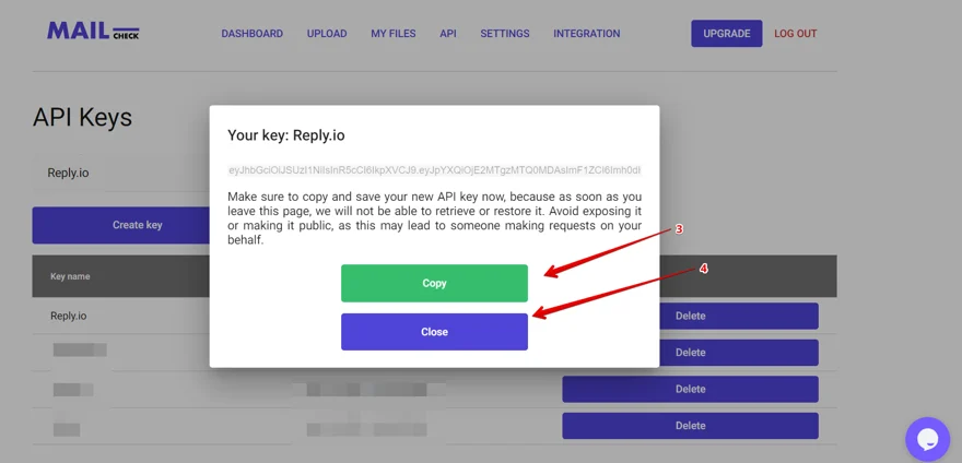 copy out API key